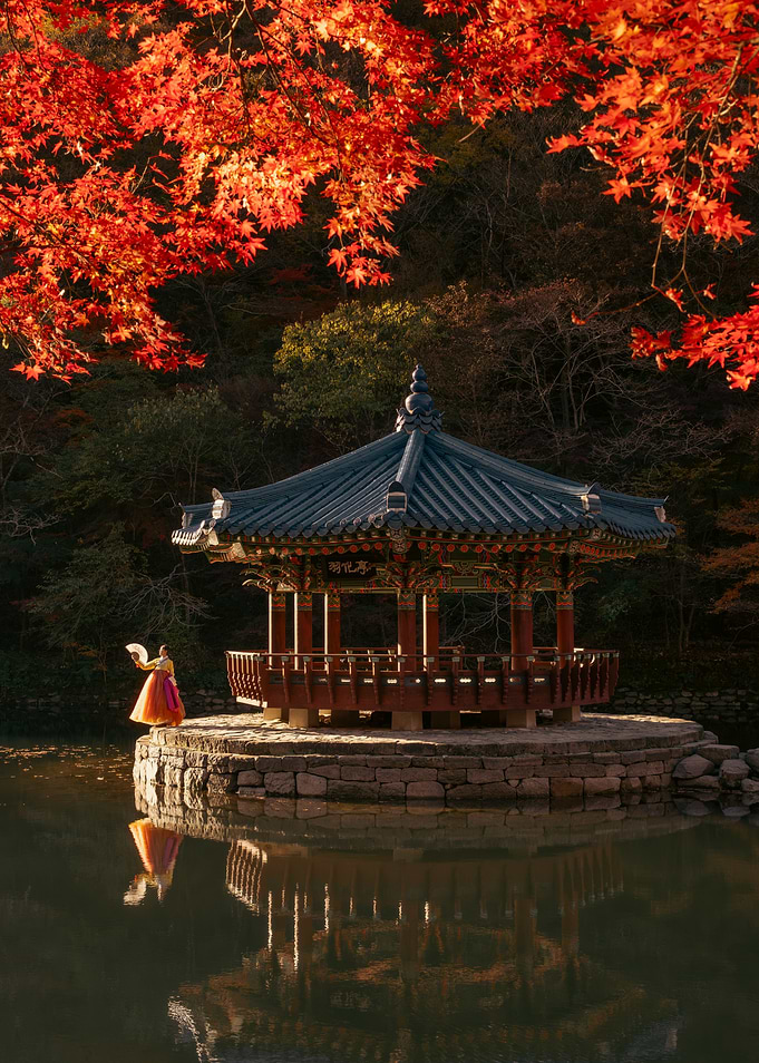 Korean Autumn Maple Tree Pavilion