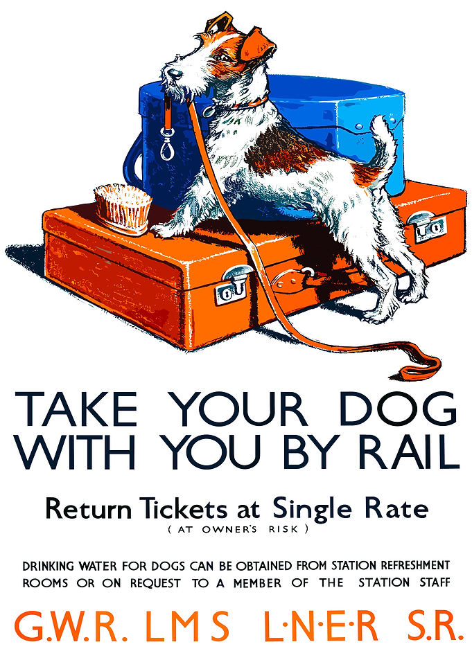 Take Your Dog By Rail Poster