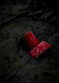 Red object on dark ground