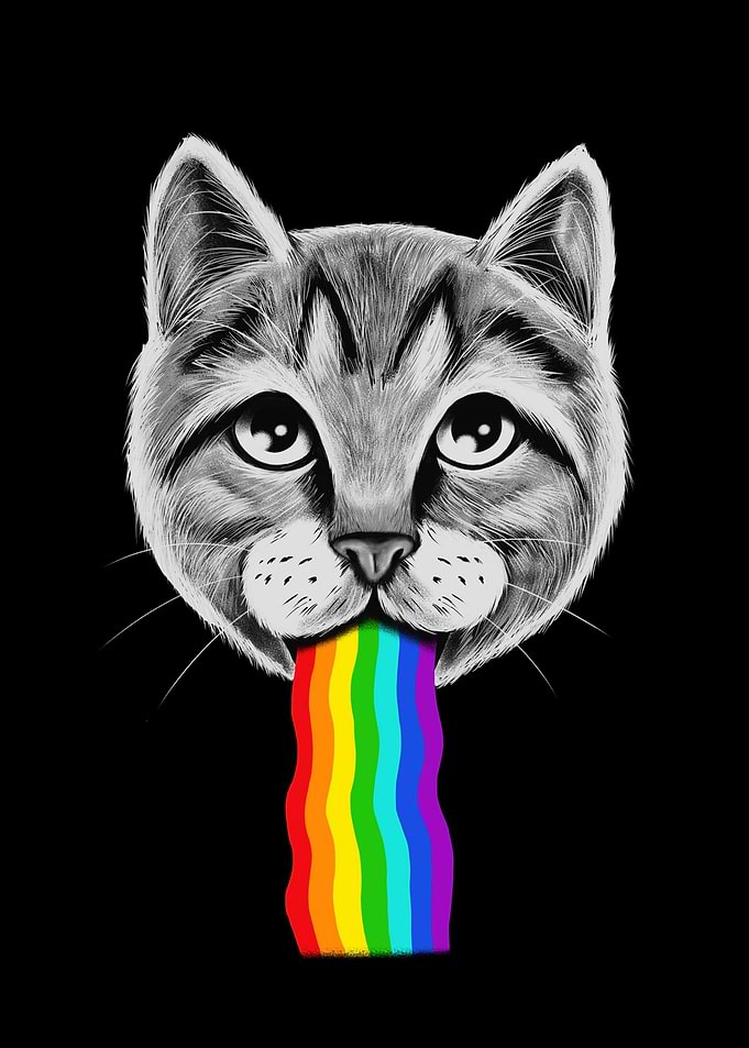 Rainbow Puke Cat