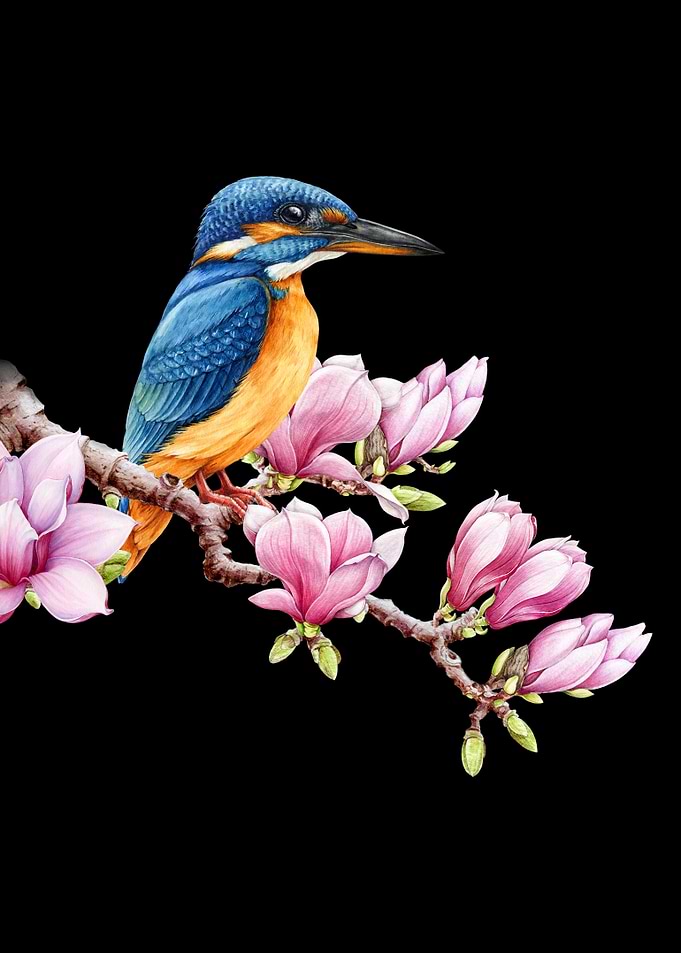 Blossom and Kingfisher