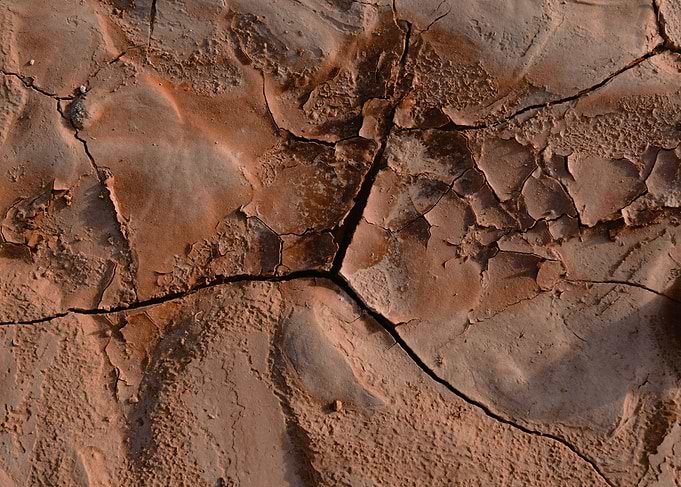 Cracked Earth Texture