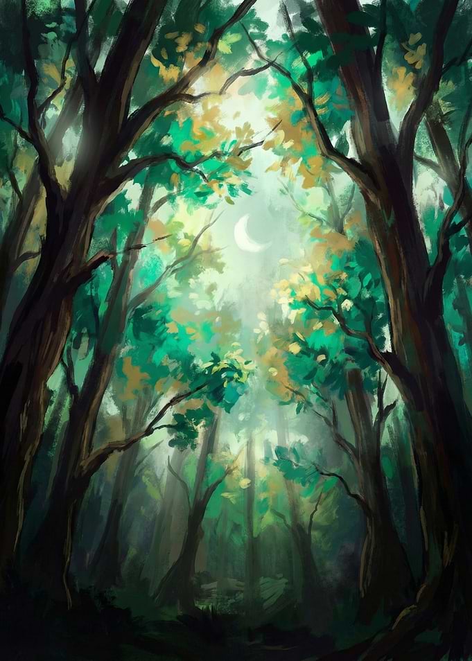 Enchanted Forest Canopy
