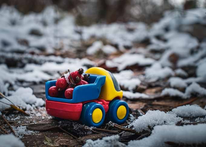 Toy truck with berries in snow