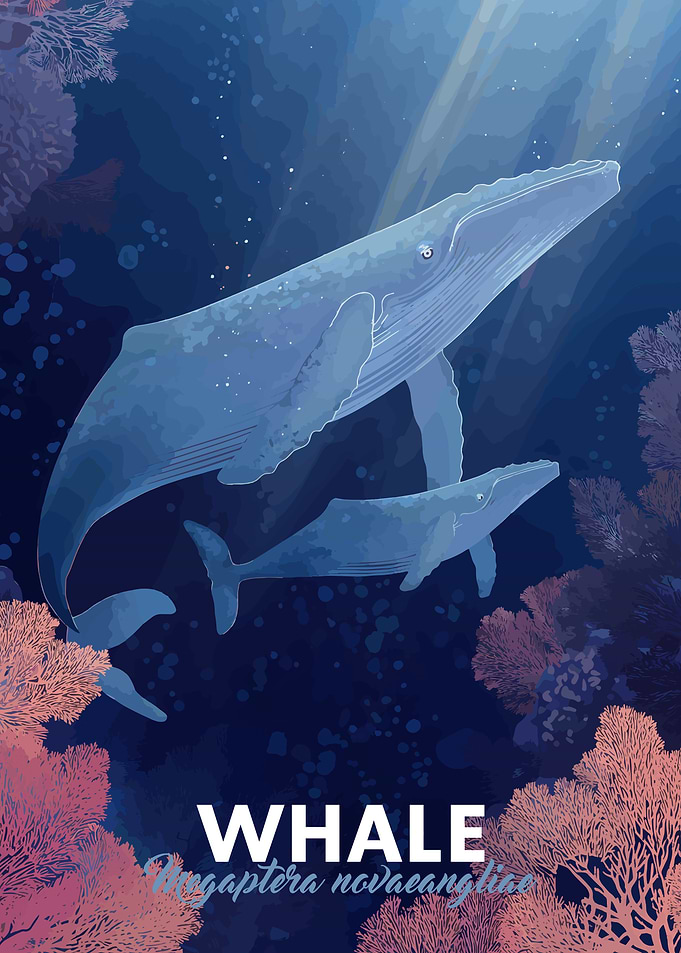 Humpback Whale Family