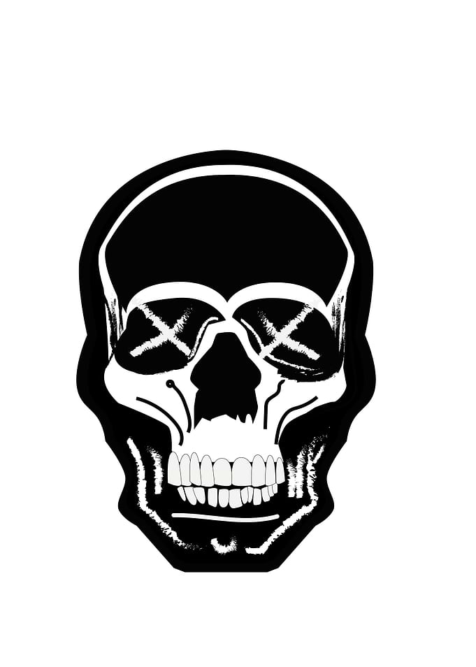 Black and White Skull Illustration