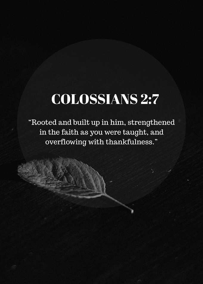 Colossians 2:7 Leaf Still Life