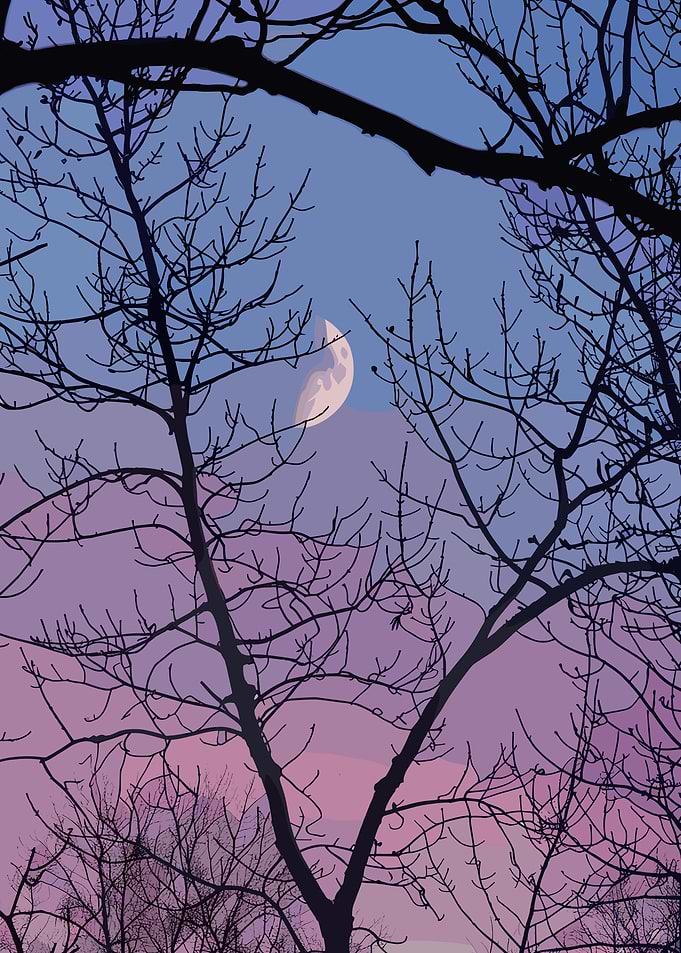 Moon through bare branches at dusk