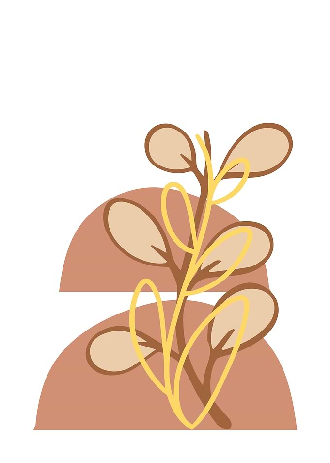 Abstract Botanical Illustration