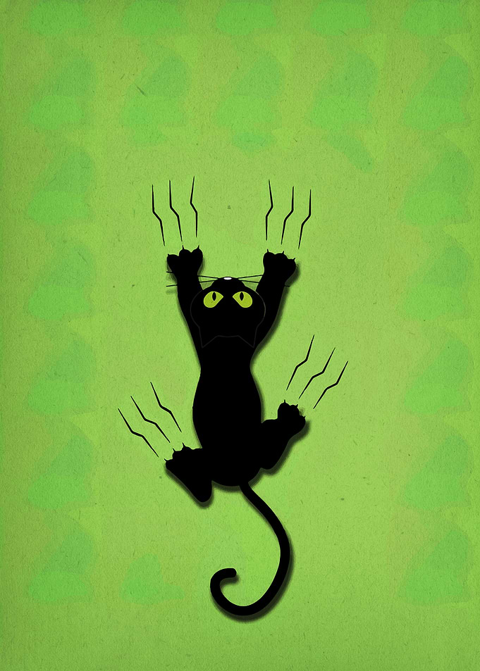 Black Cat Scratching Green Wall