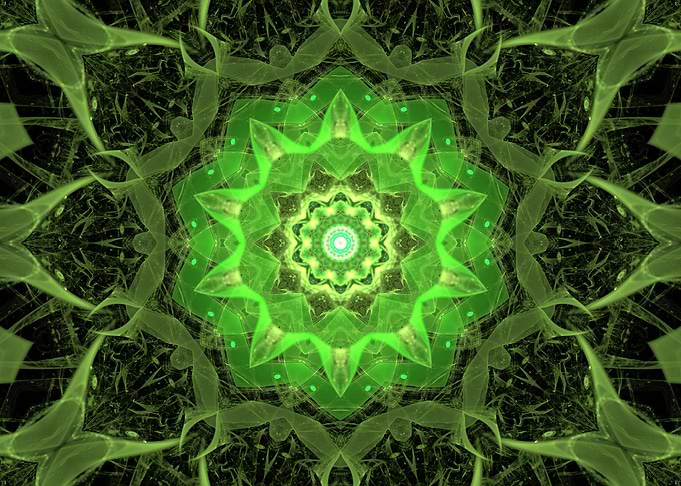 Celebration of Nature