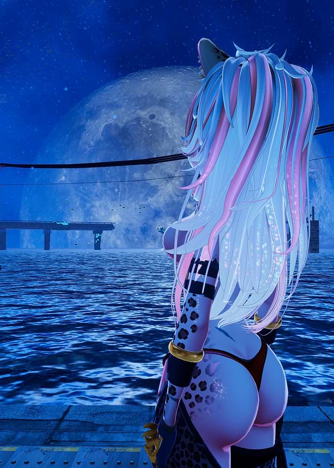 Night Moon
