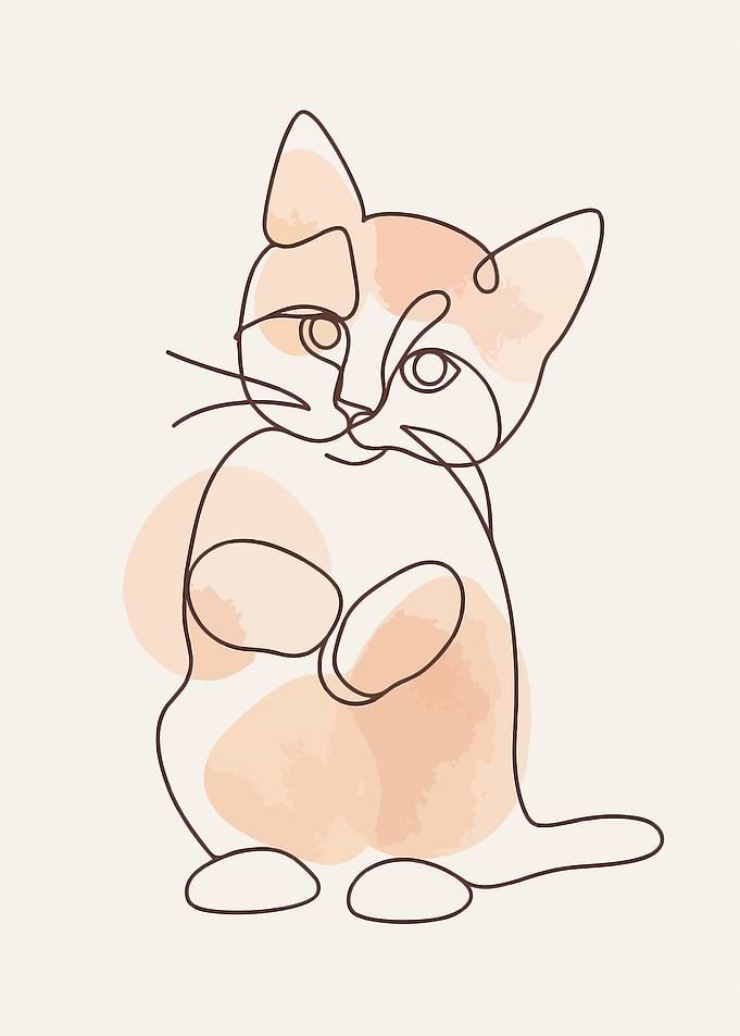 Minimalist Cat Line Art Illustration