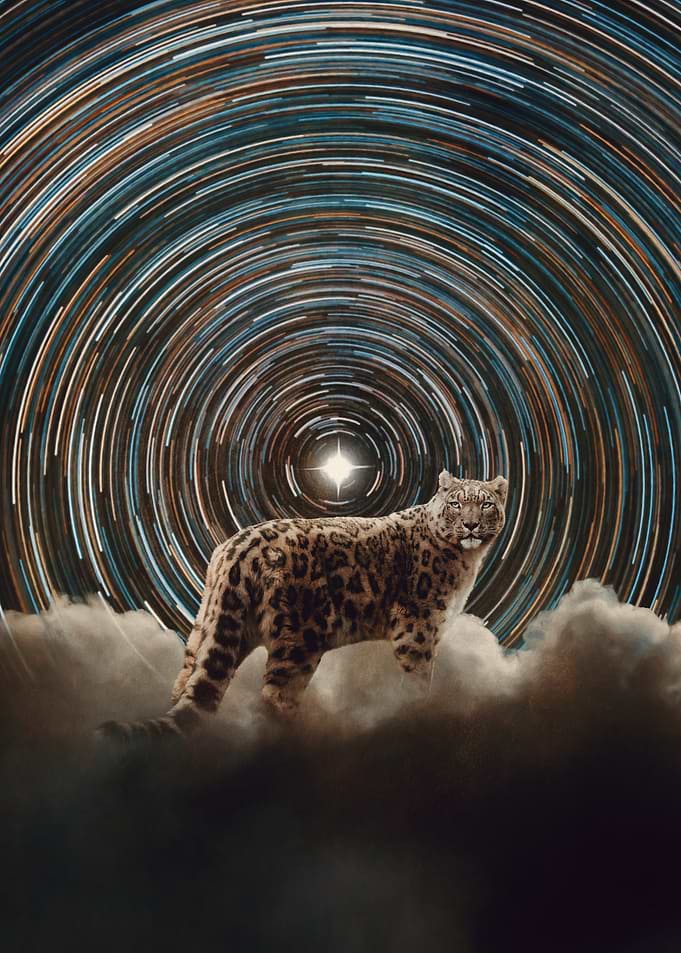 Polaris