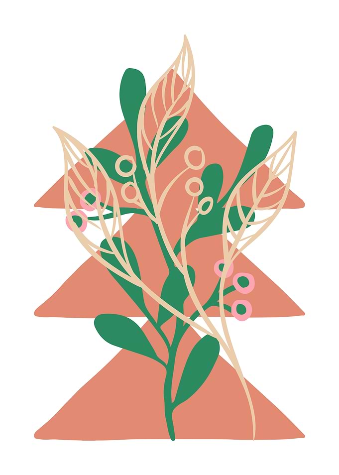 Botanical Illustration with Geometric Background