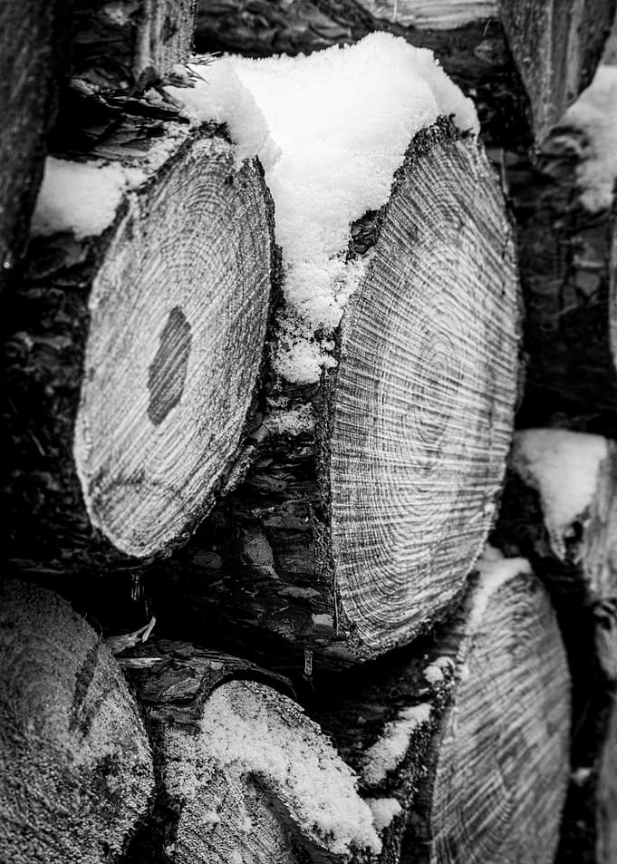 Snowy Stacked Logs in Black and White
