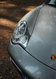 Silver Porsche, Dappled Light
