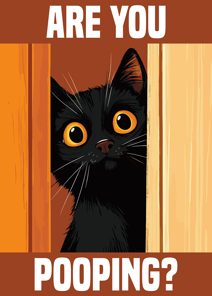 Are You Pooping black cat