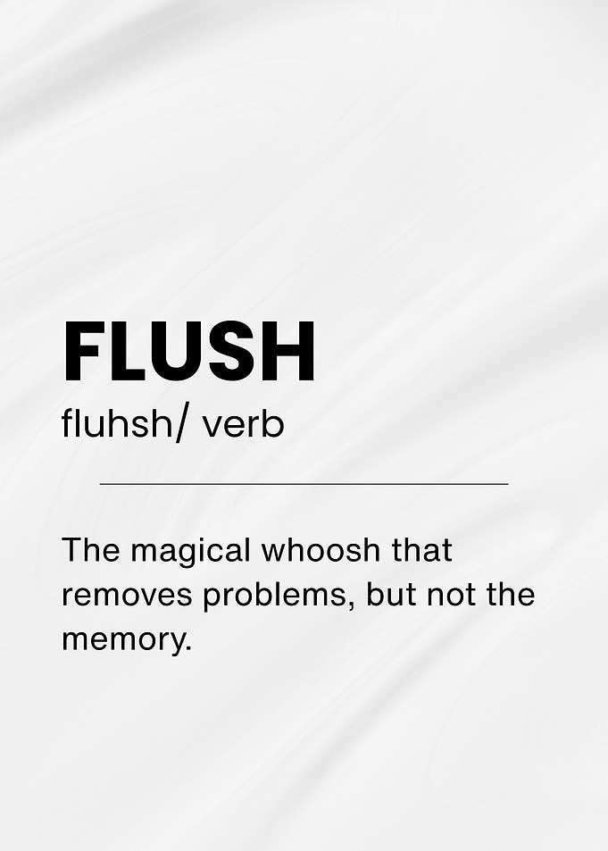 Flush Funny Definition