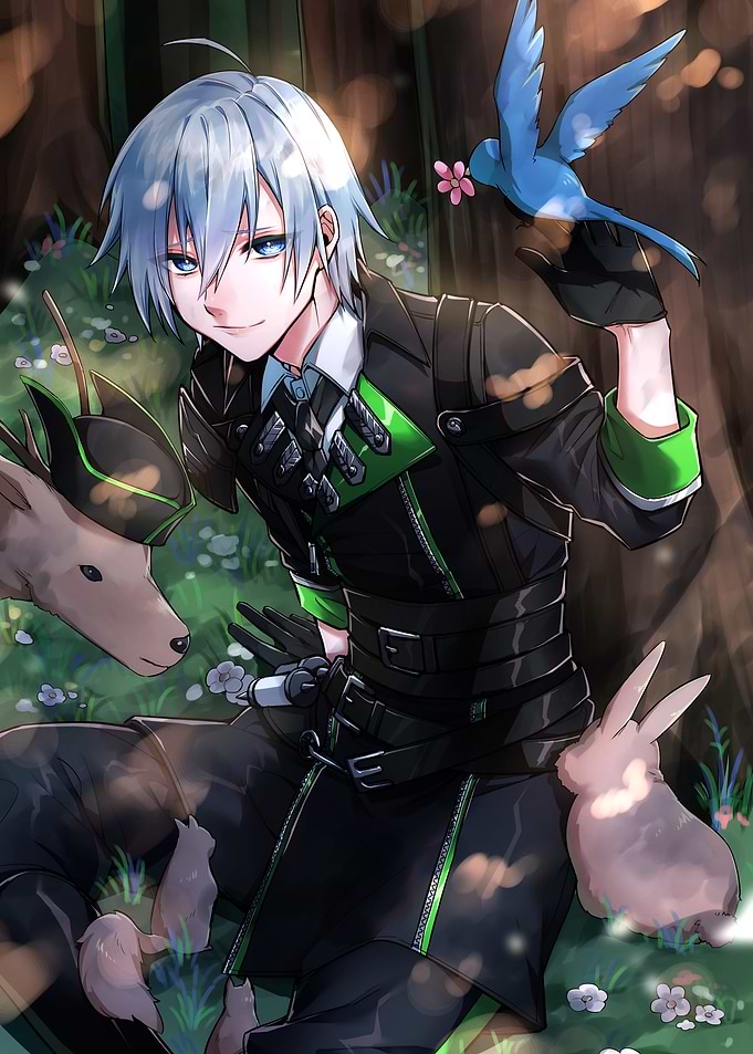 TWST Twisted Wonderland Silver