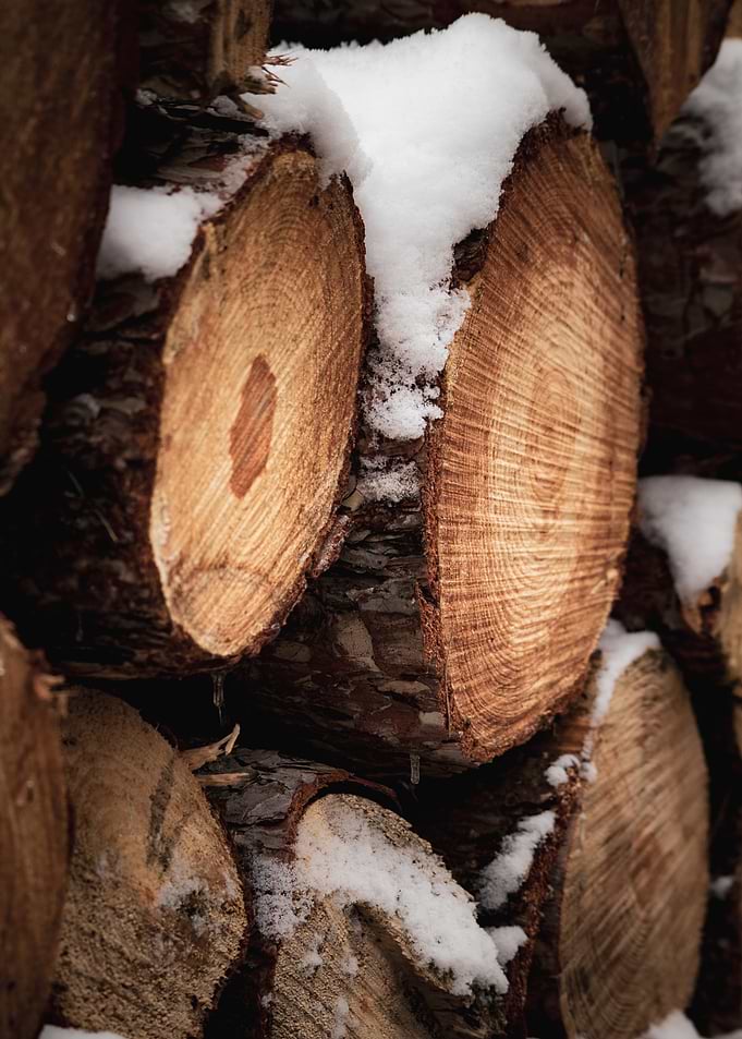 Snow-covered Stack of Cut Wood
