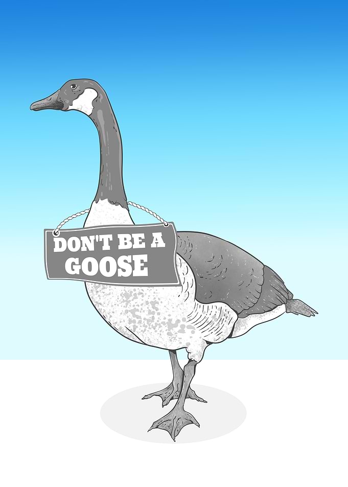 Don't Be A Goose Sign