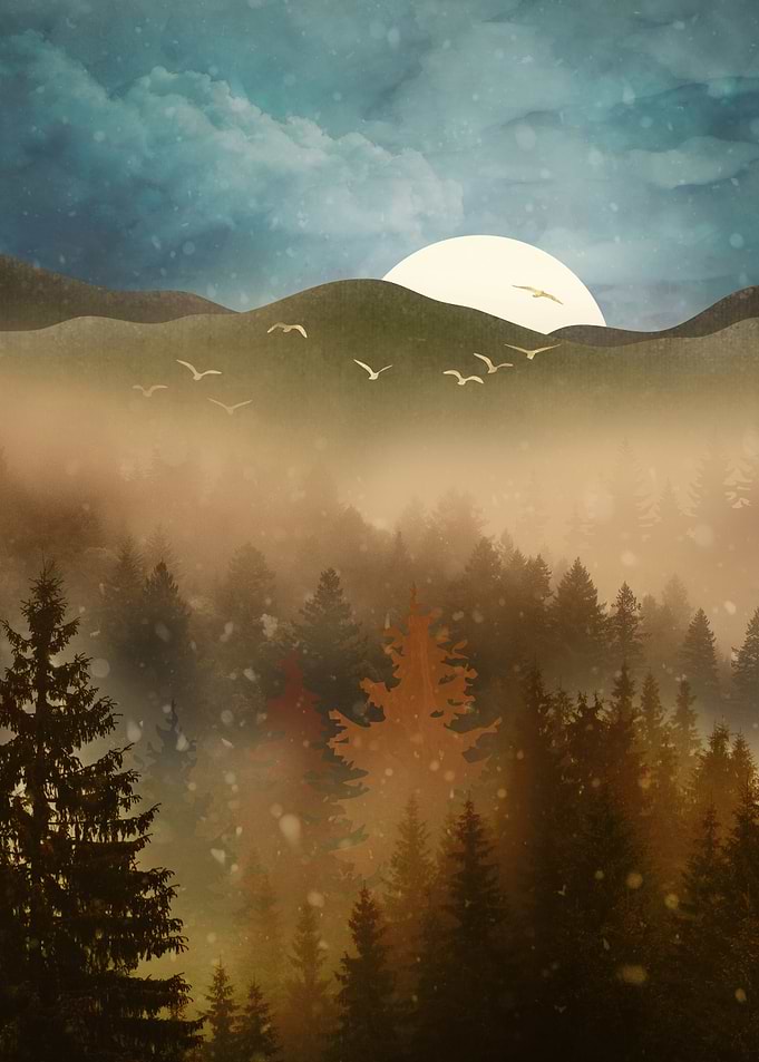 Winter Forest Mist