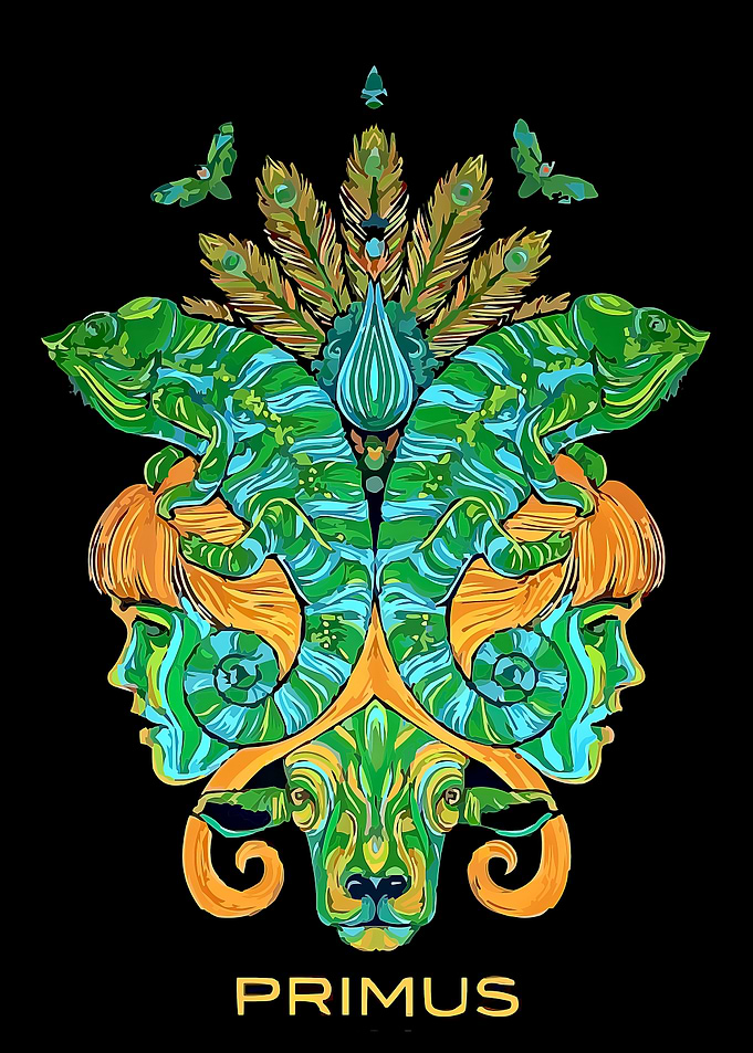 Primus Band Psychedelic Art