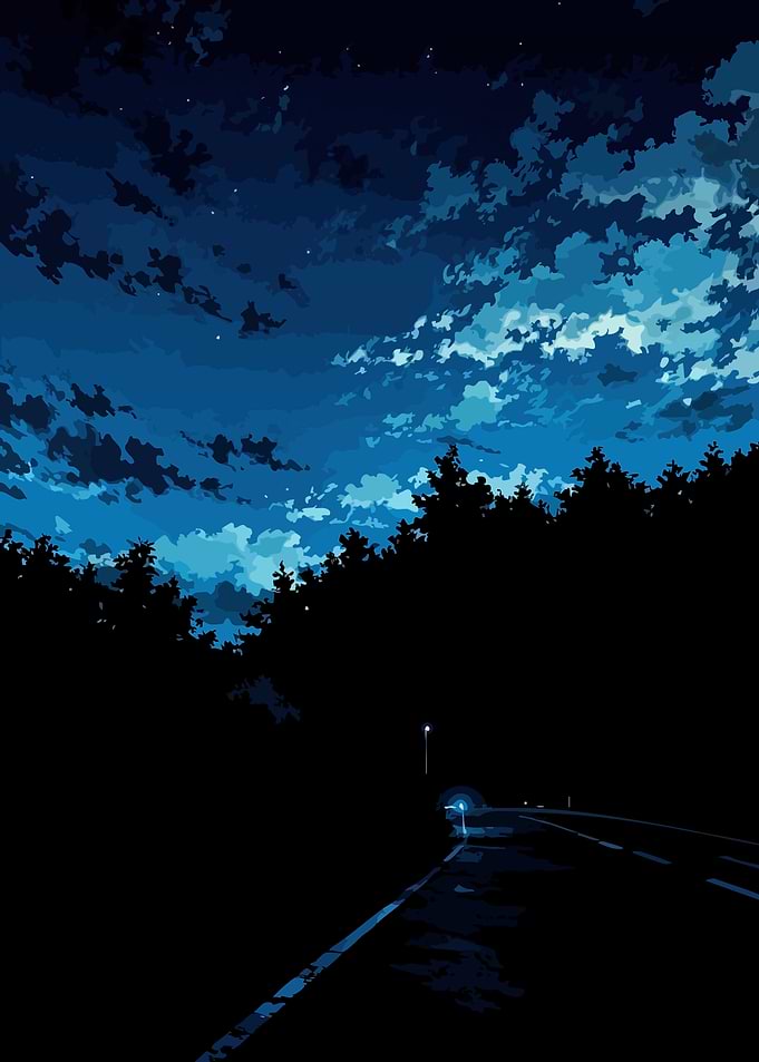 Night Road Through Forest