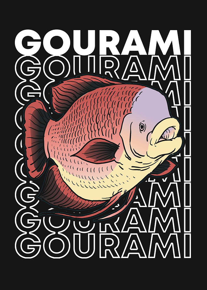 Giant Gourami Tropical Fish Keeper