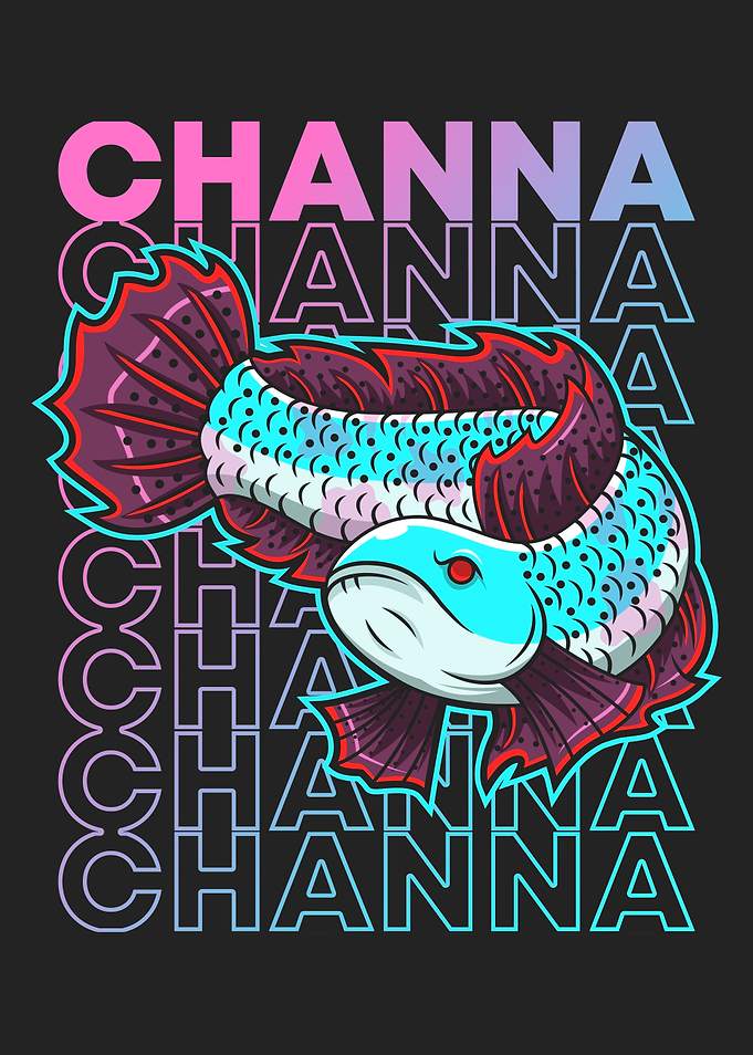 Snakehead Channa Fish Keeper