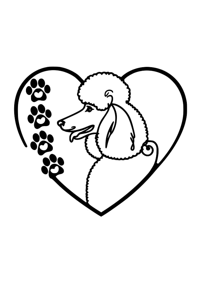 Poodle Love Dog Owner Art