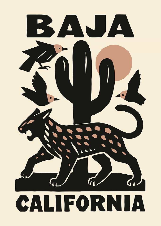 Baja California Desert Wildlife Poster