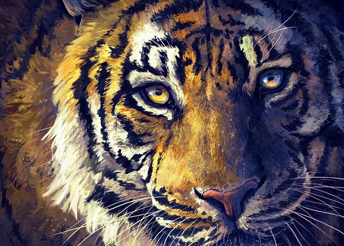 Tiger Eyes