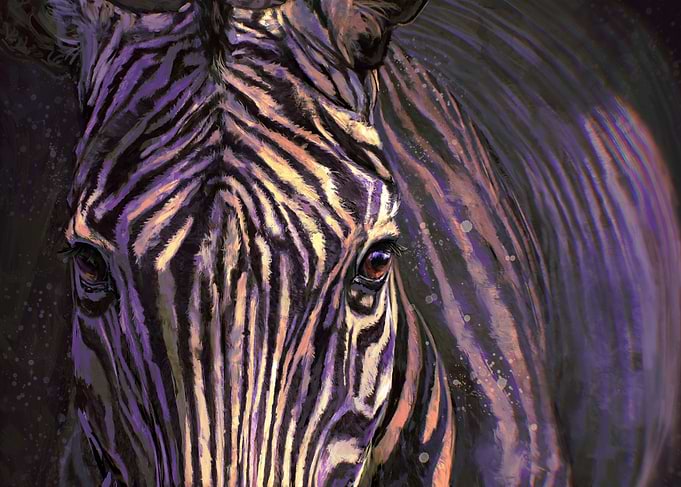Zebra Stripes