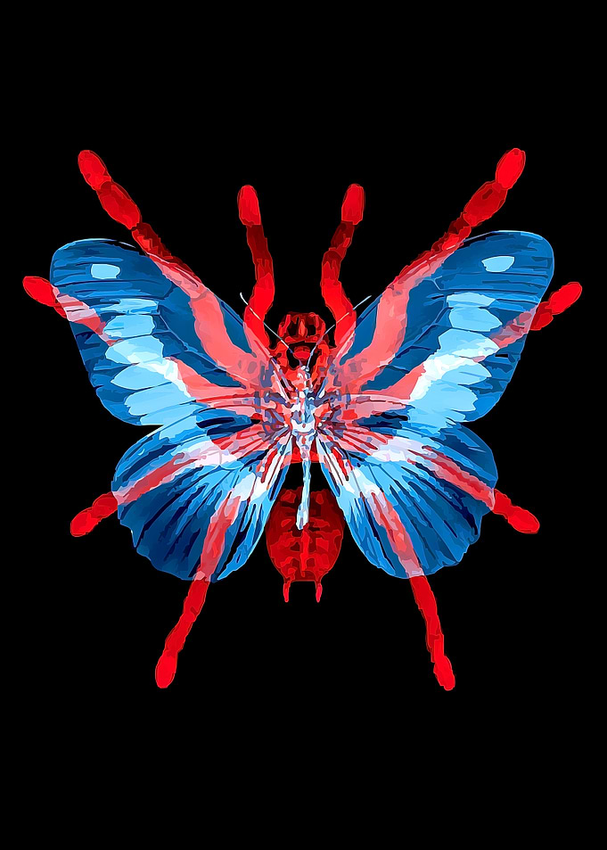 Butterfly Spider Hybrid