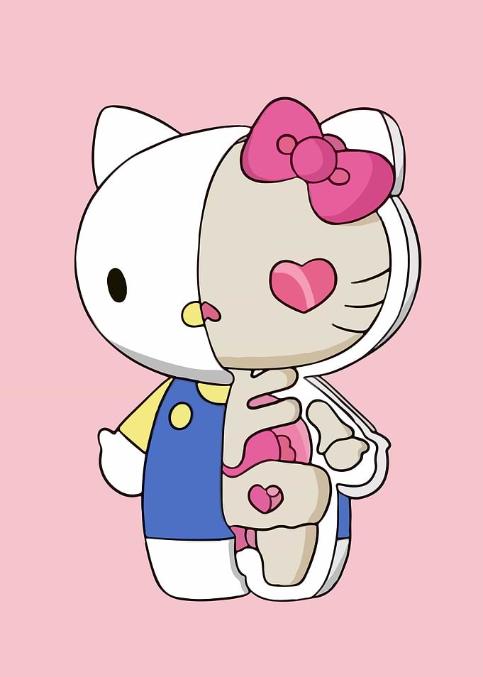 Hello Kitty Anatomy