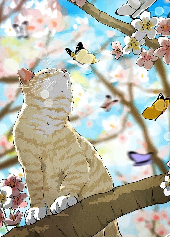 Cat, Butterflies, and Cherry Blossoms