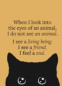 Cat Soul Quote