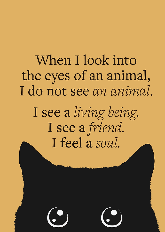 Cat Soul Quote