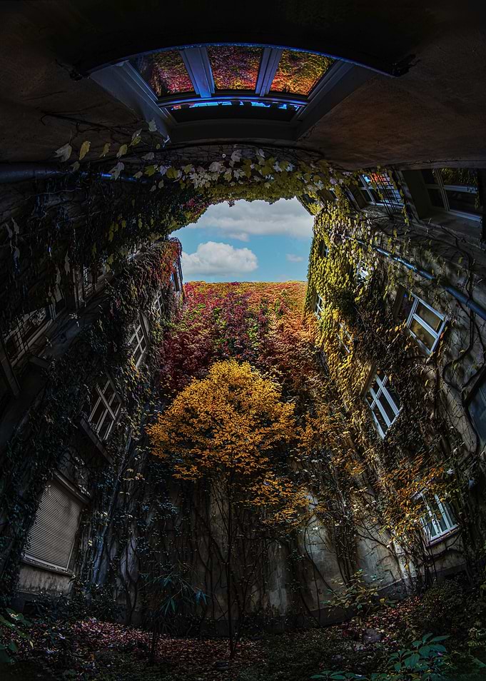 Overgrown Courtyard with Autumn Colors