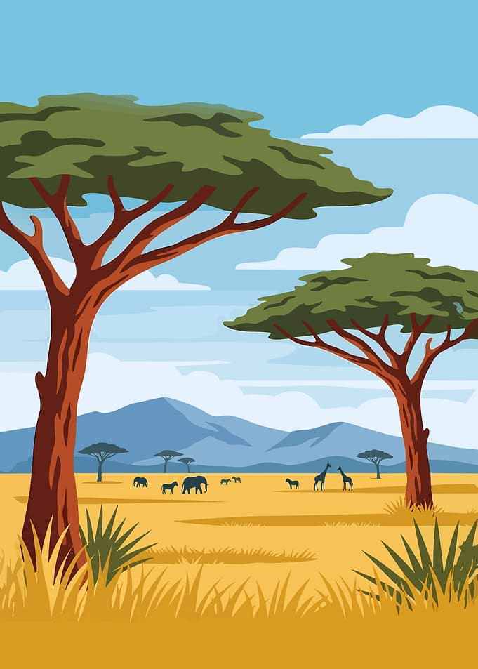 African Savannah Landscape Illustration