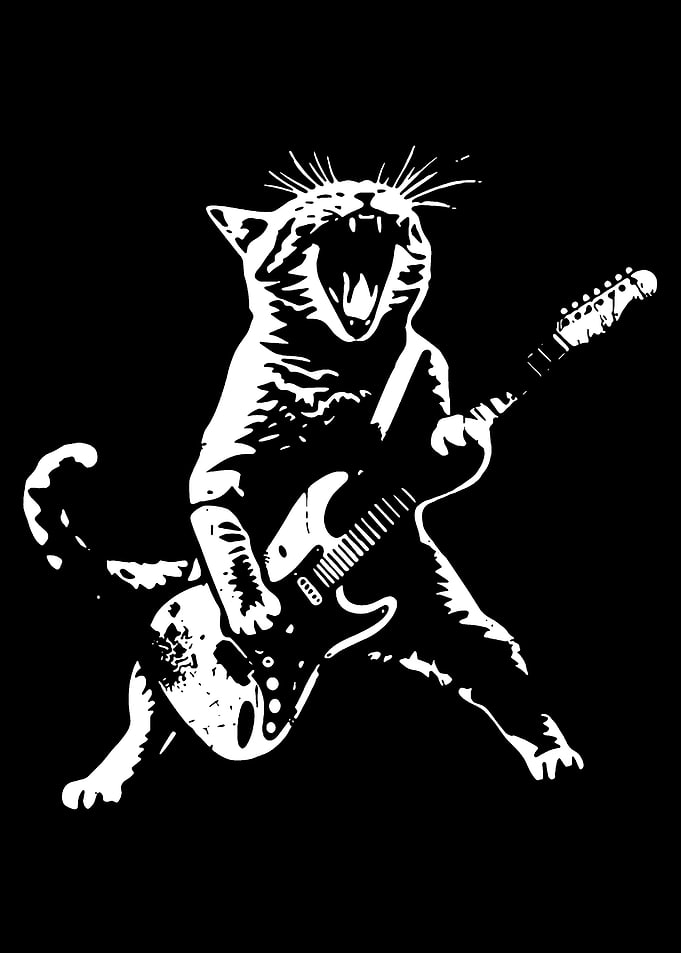 Rocking Cat Guitarist