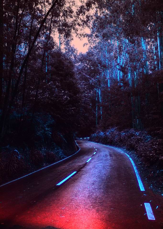 Winding Road Through Dark Forest