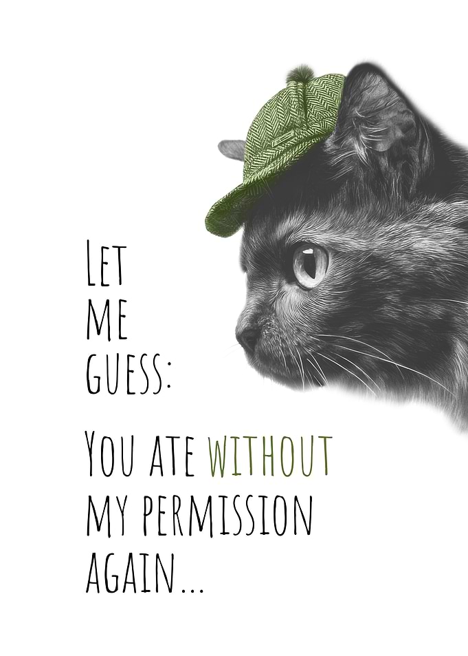 Cool Cat – Food Detective