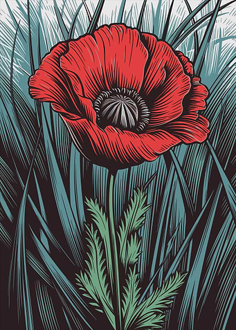 Red Poppy Flower in Grass Illustration