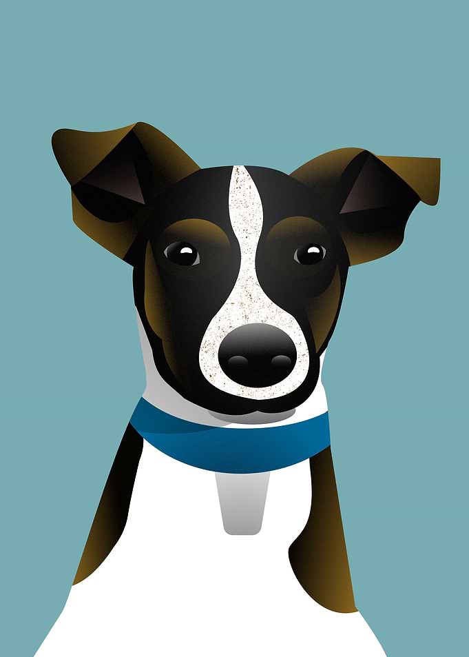 Stylized Dog Portrait with Blue Collar