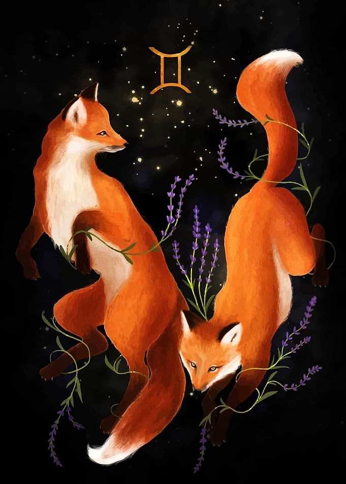 Gemini Foxes with Lavender