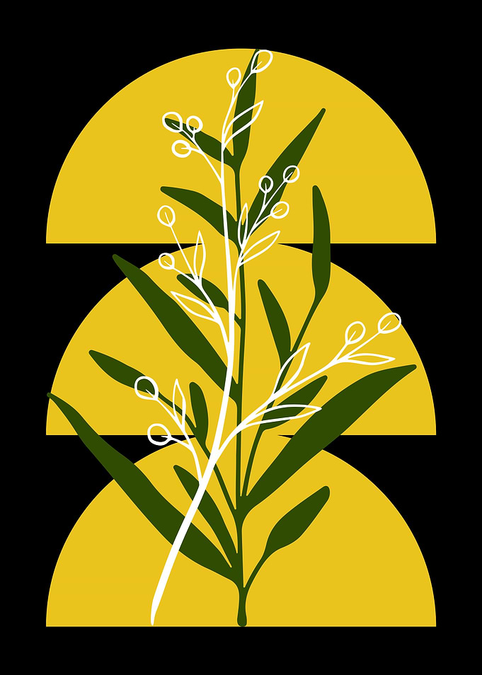 Botanical Illustration with Geometric Shapes