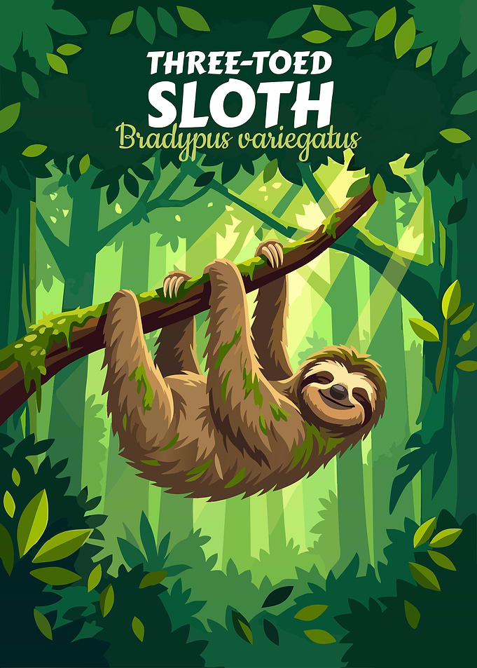 Three-Toed Sloth in Forest Illustration